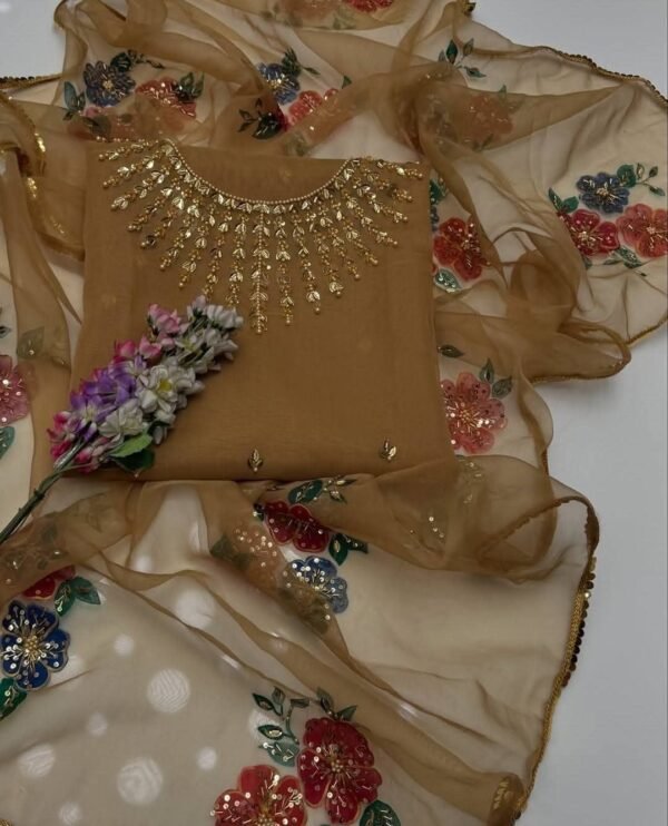 Organza 3pc Handmade Fancy Dress - Image 6