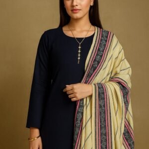 Casual wool 3pc Dress With Pashmina Wool Shawl